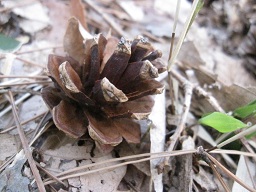 IMG_8048.JPG