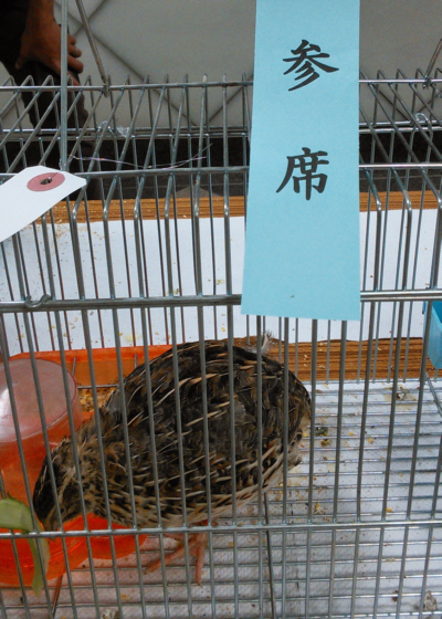 20150517(11)