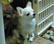 2014-12-16 19:57:57