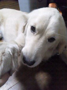 rblog-20130914212440-01.png
