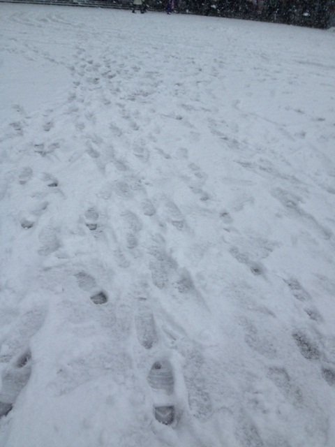 １大雪.jpg