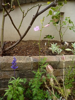 P1200649ss.jpg