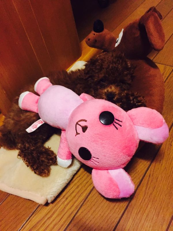 rblog-20151128230006-01.jpg