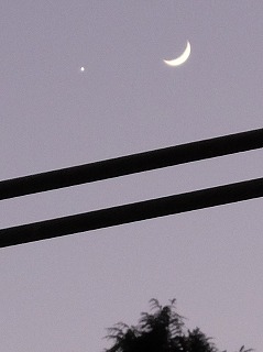 月と金星.jpg