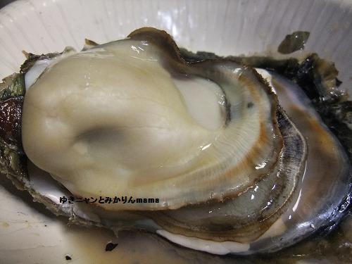 DSCF1961.jpg