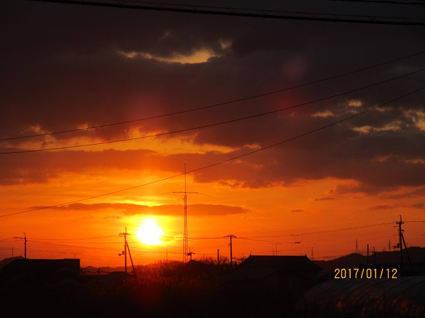 IMG_7406.JPG