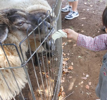 2012.10.8　夢見ヶ崎動物公園 (2).jpg