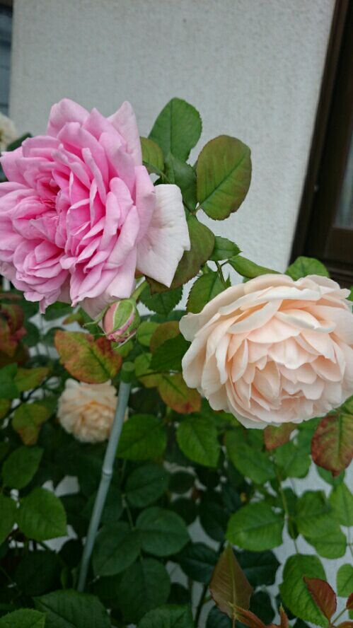rblog-20160618130353-05.jpg