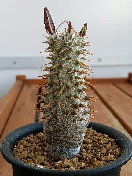 rblog-20180428112128-01.jpg