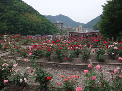 萬国屋147.jpg