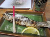 IMG_3842_R.JPG