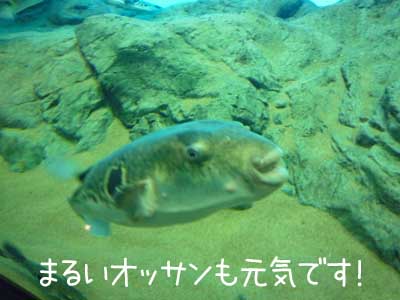 水４.JPG
