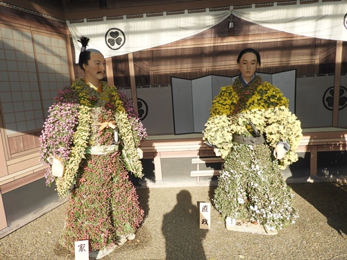 湯島天神菊まつり