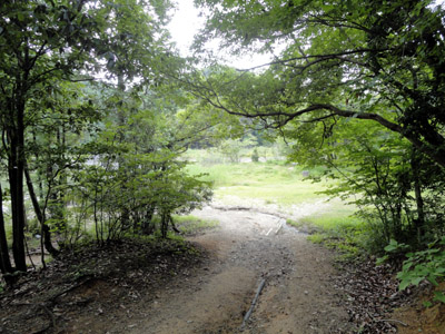 DSC01436-400.jpg