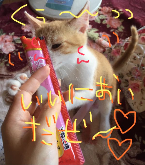 rblog-20150714222328-01.jpg