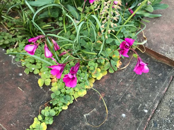 rblog-20180408181115-00.jpg
