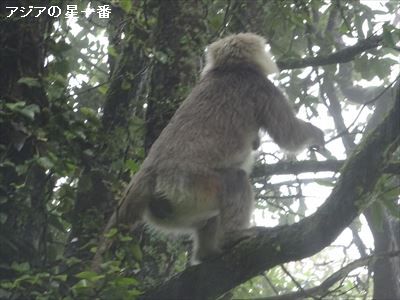 20160726 タンゴ寺7