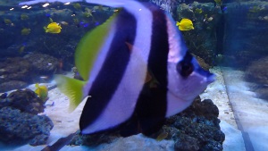 DSC03234.JPG