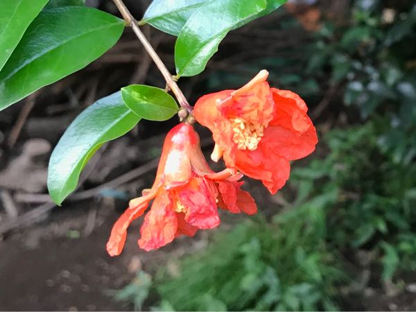 rblog-20180624181630-08.jpg