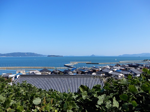 1656下津井電鉄廃線跡自転車道・琴海駅跡 (3).JPG