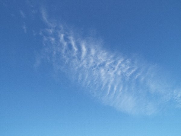DSCF6525.JPG