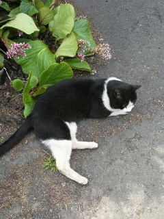 2013052713130000.jpg