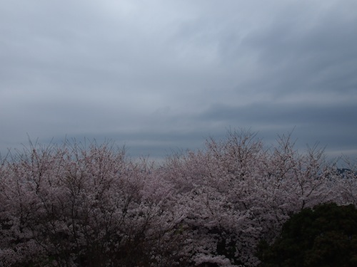 P4021725.JPG