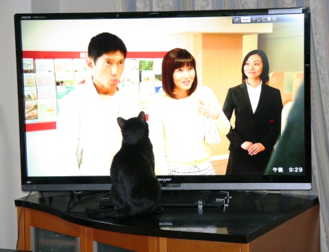 20120922ﾀｸ01.jpg