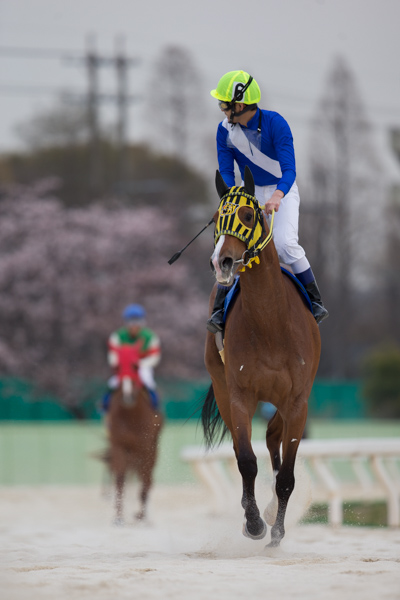 レース後