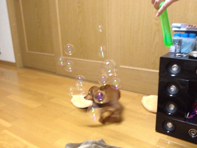 rblog-20130913161912-00.jpg
