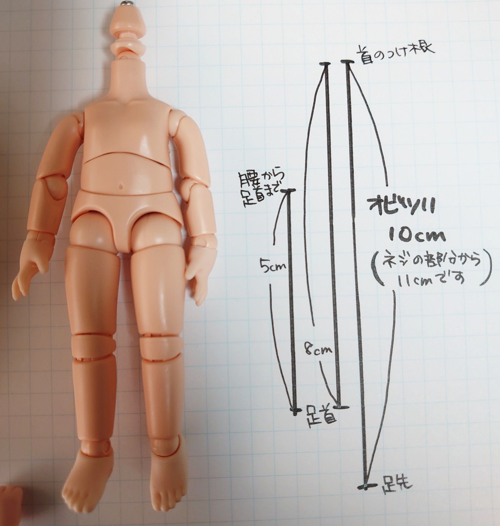 往復送料無料 ピコドー ボディ9 ホワイト 色白 新品 人形 ねんどろいど