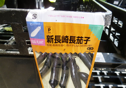 長崎長なす１.jpg