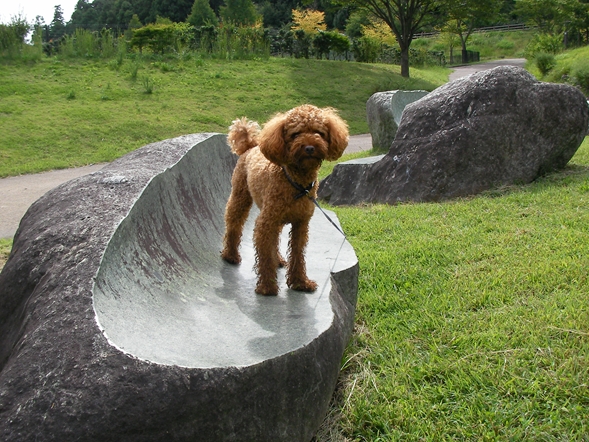 SANY0316_R.JPG