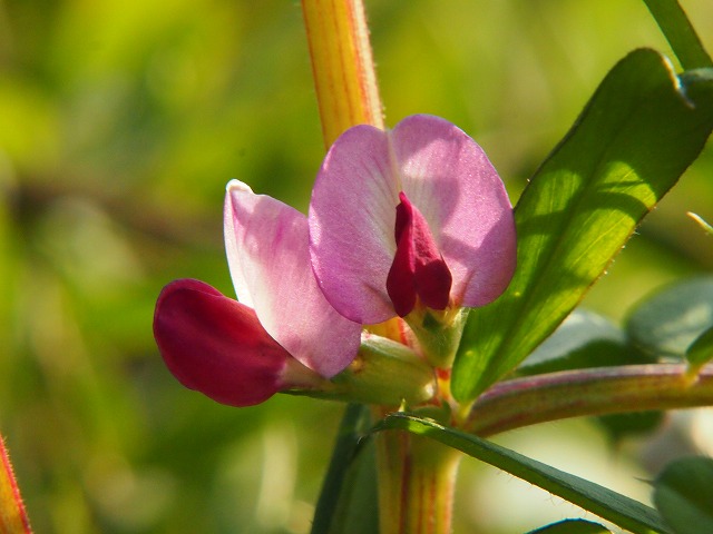 P2030147.jpg