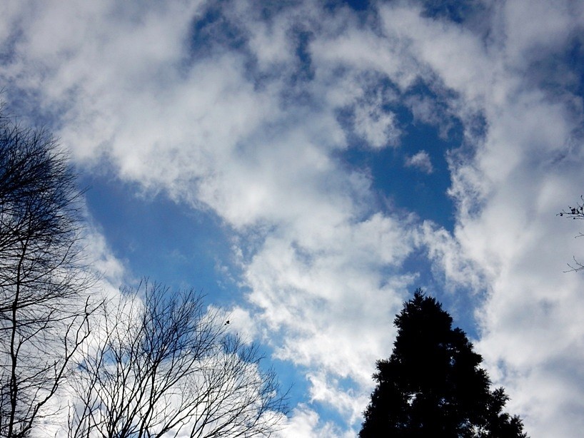 空