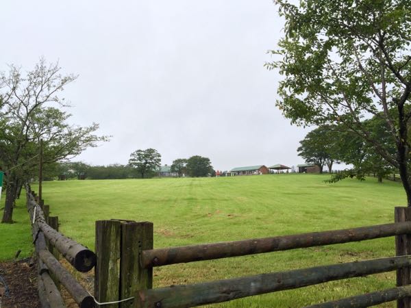 rblog-20150720001322-02.jpg