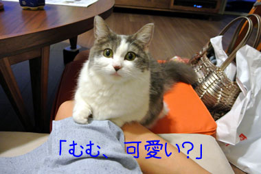 mumu6.jpg