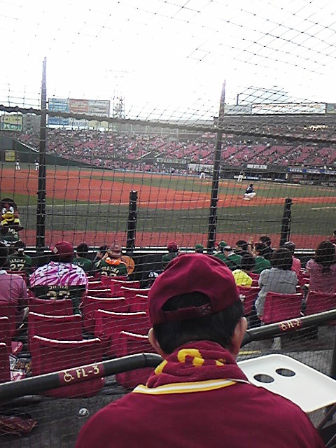 車椅子席からマウンドを