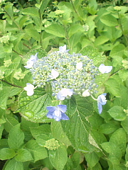 conv0768.JPG
