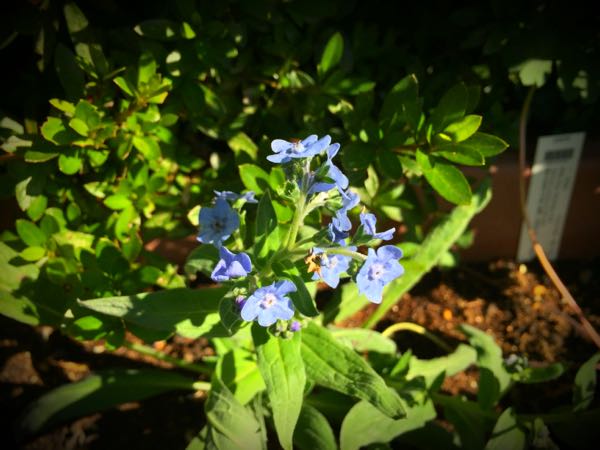 rblog-20151025173233-03.jpg
