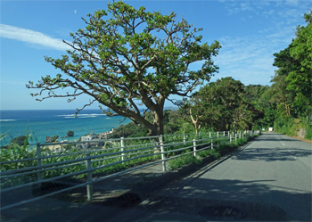 沖縄299.jpg