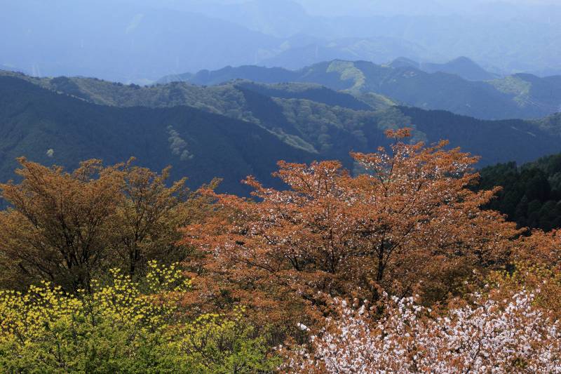 金剛山_004.jpg