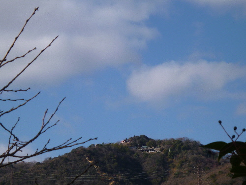 P1140866(1).JPG