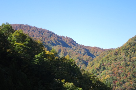 IMG_7931.jpg