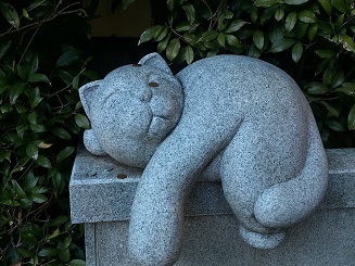 DSC_2242.jpg