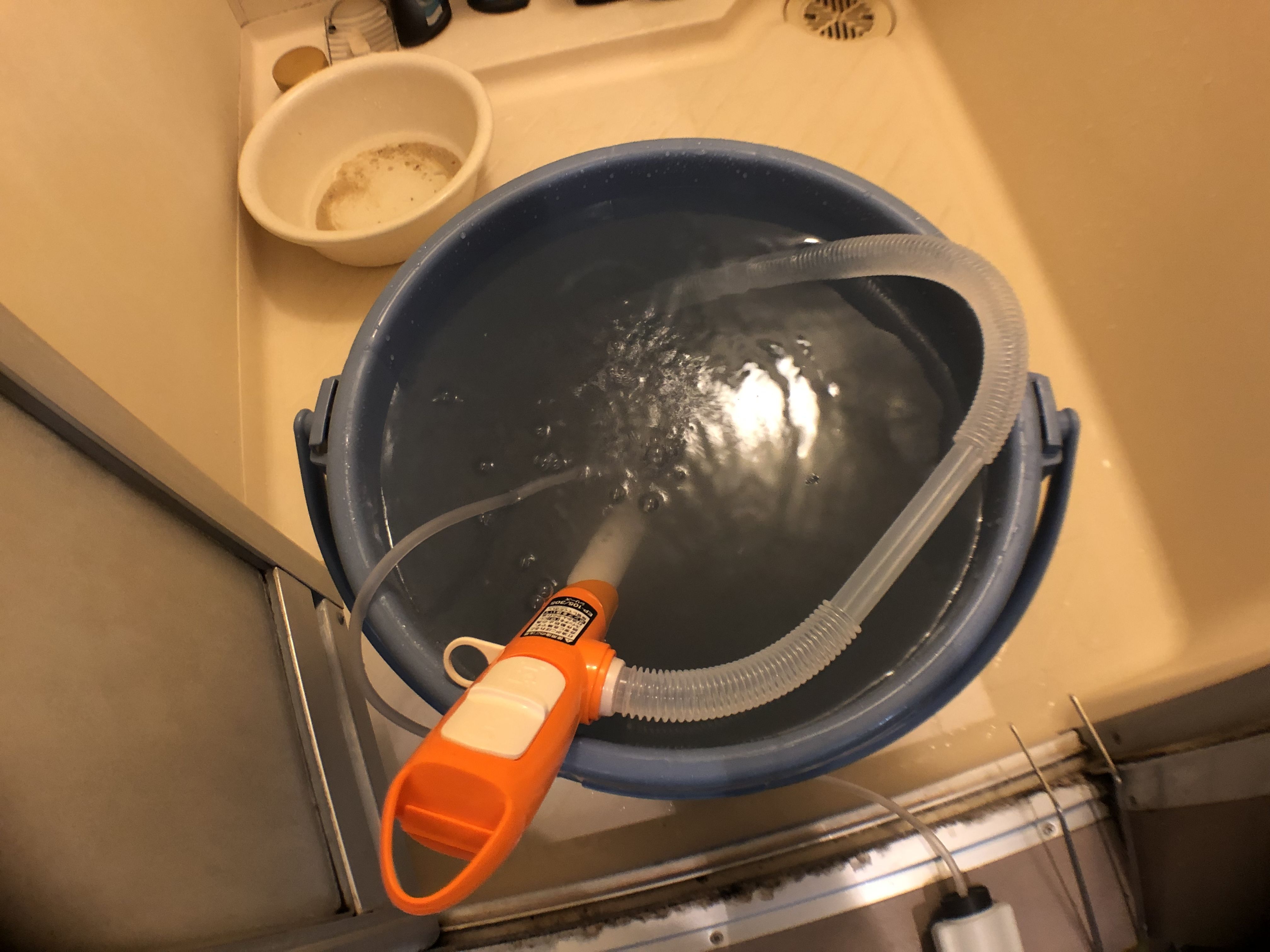 はじめての海水魚水槽4】水槽立ち上げ！ | ありえないありえる