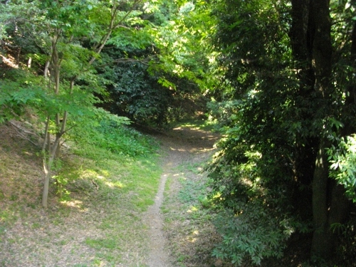 小山城三の丸空堀 (2) (500x375).jpg