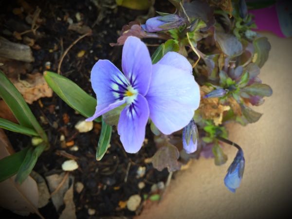 rblog-20150227215219-01.jpg