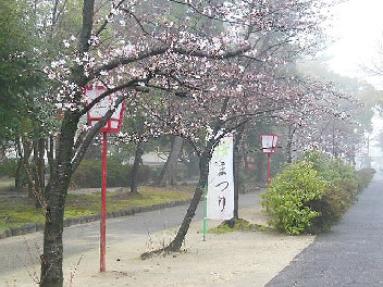 DSCN2054.jpg