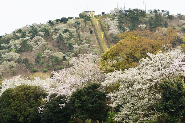 小室山